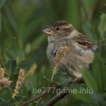 Avatar of Nadeem Shah